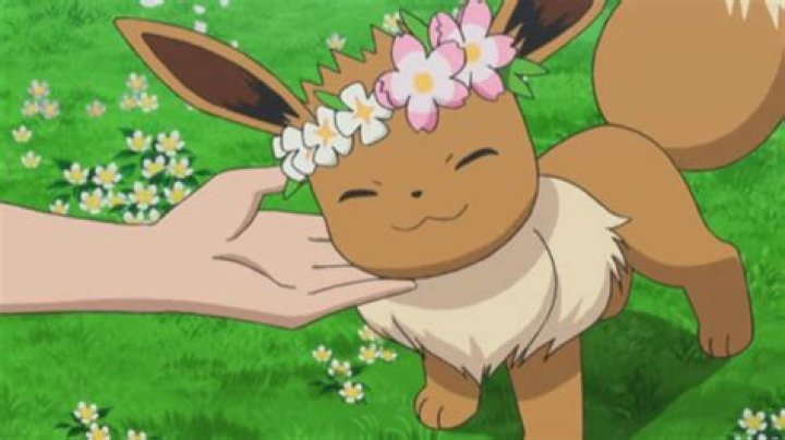 10 Pokémon we’d love to see as Squishmallows