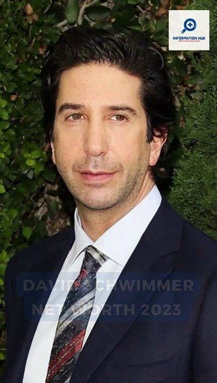 David Schwimmer $134 million net worth explored