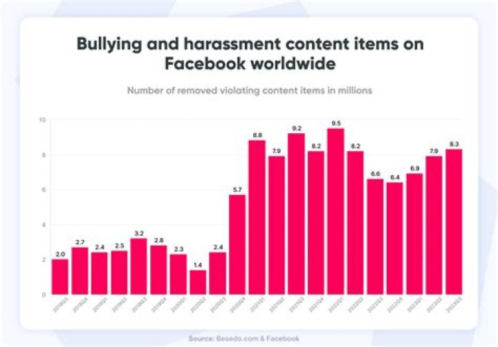 Hannah And Torrid TikTok Bullying Drama, Explained