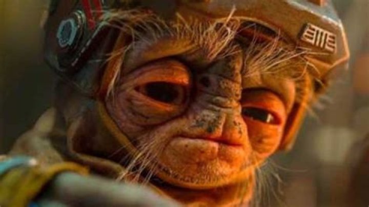 ‘Harry Potter’ star voices ‘The Mandalorian’s Anzellans