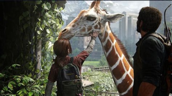 Is the giraffe in ‘The Last of Us’ real?
