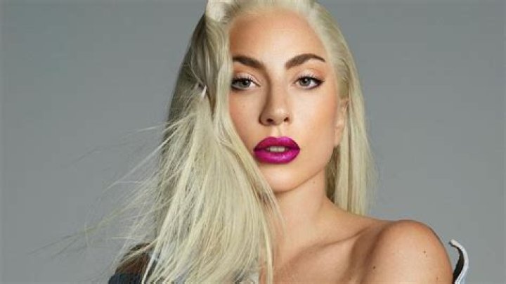 Lady Gaga’s Little Monsters implore her to sue Trump over new campaign slogan