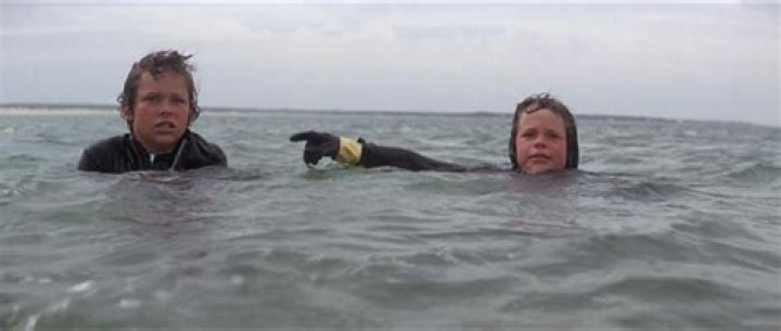 Life imitates art as the kid from ‘Jaws’ becomes police chief of the real Amity Island