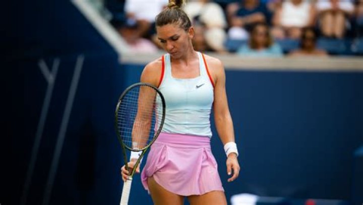 When did Simona Halep turn pro? How many titles has Simona Halep won? What is Simona Halep rank?