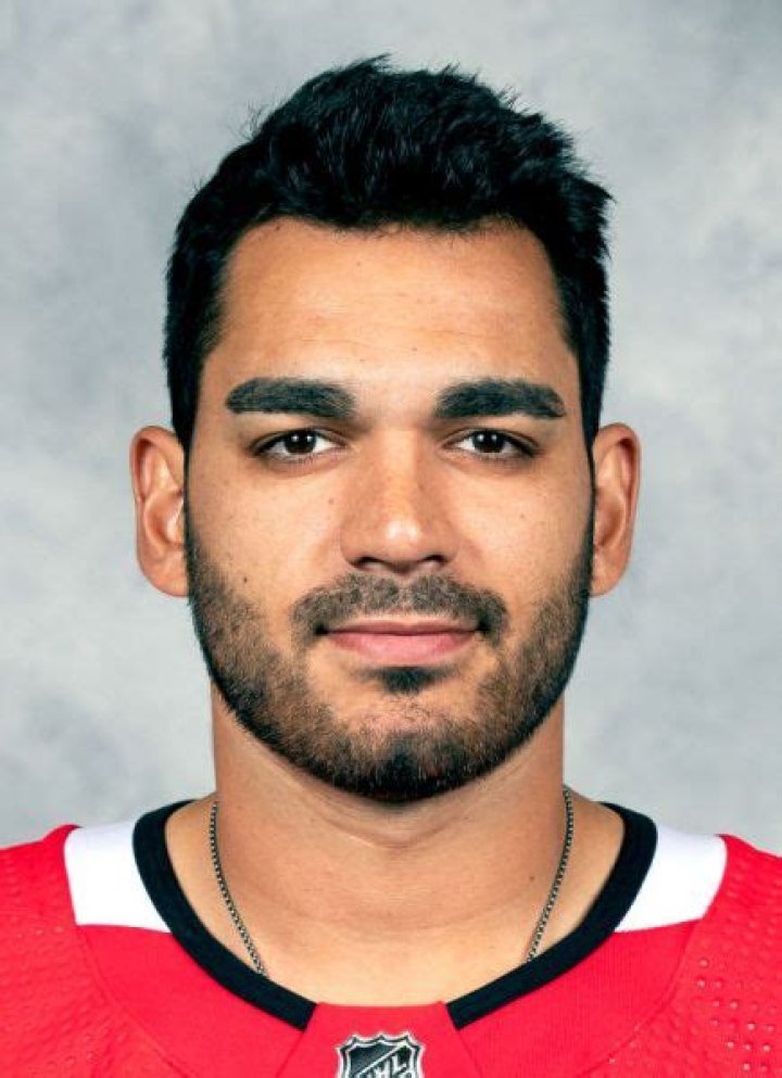 Who is Andrea Athanasiou? Bio, age, hockey player net worth